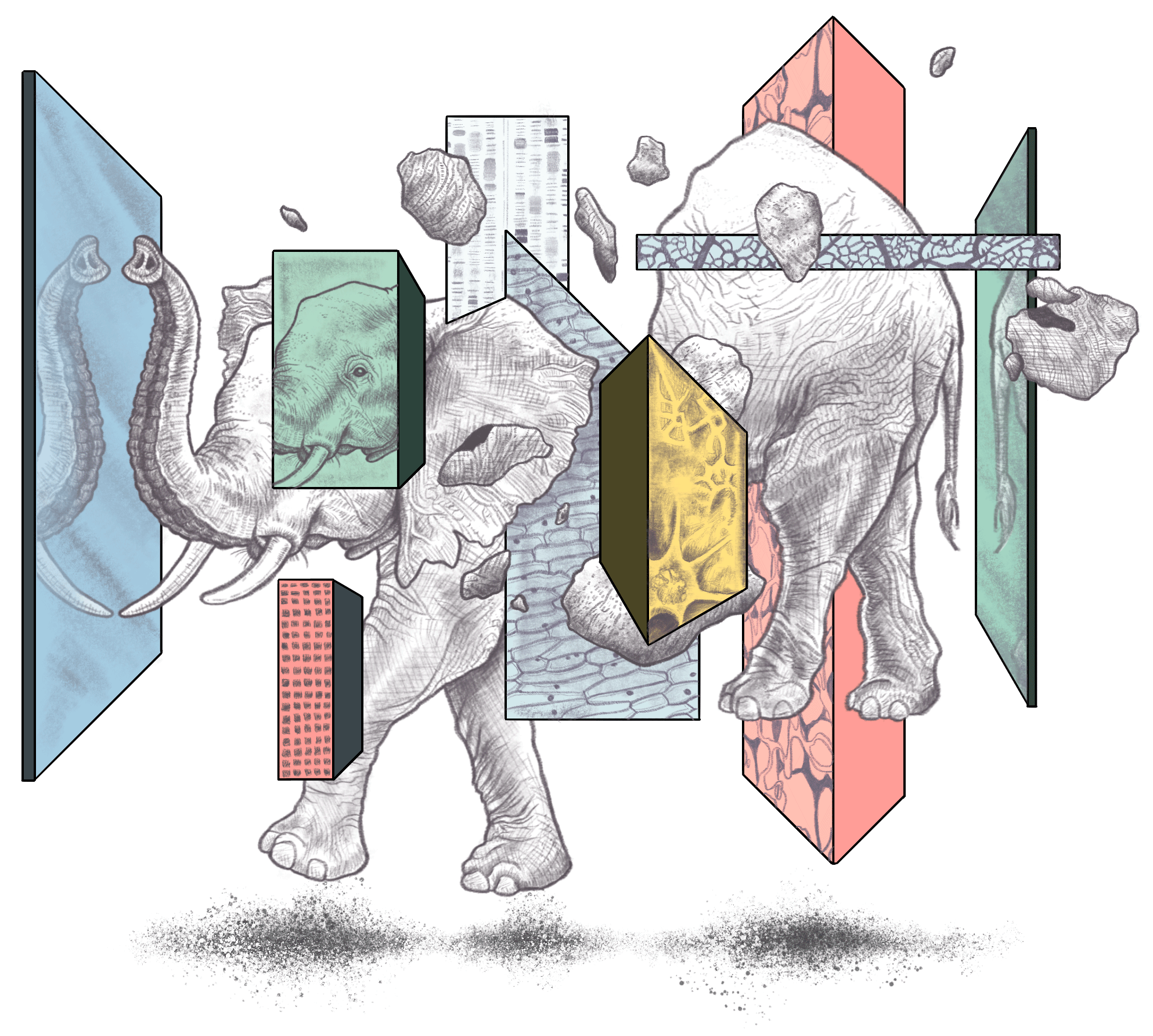 A fractured elephant with different analysis lenses applied to it. 